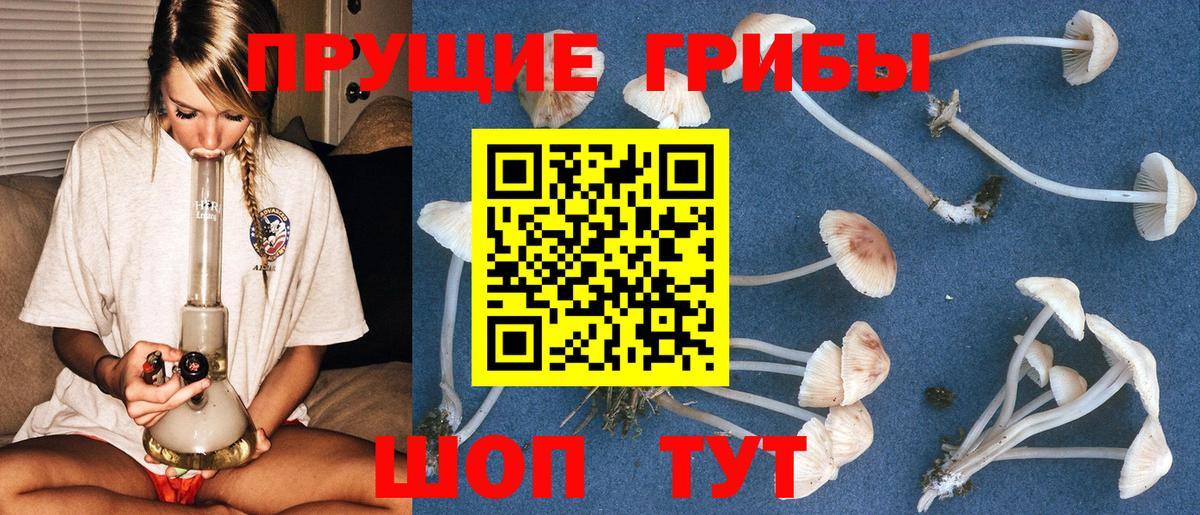 сколько стоит  Псилоцибиновые грибы MAGIC MUSHROOMS  Вход с VPN  Северобайкальск 
